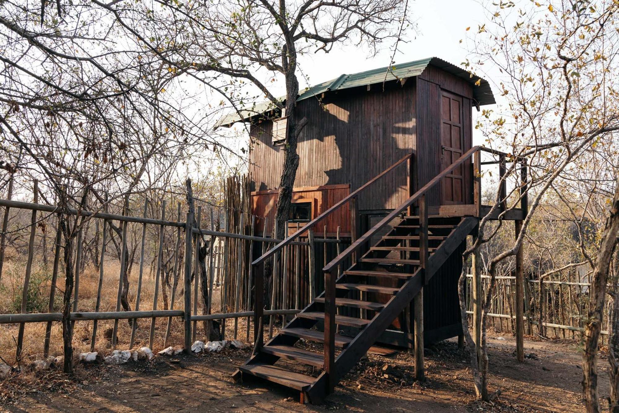 Isambane Camp Villa Balule Game Reserve Exterior photo